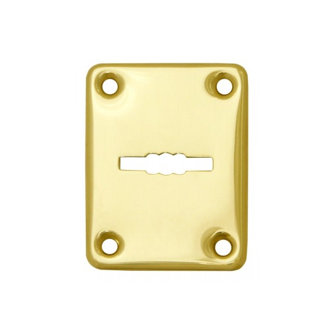 Декоративна накладка ESC082-SG-1 (МАТ ЗОЛОТО) на сувальдний замок (1шт) (латунь)